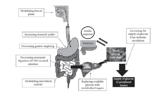 GI-GL-image3