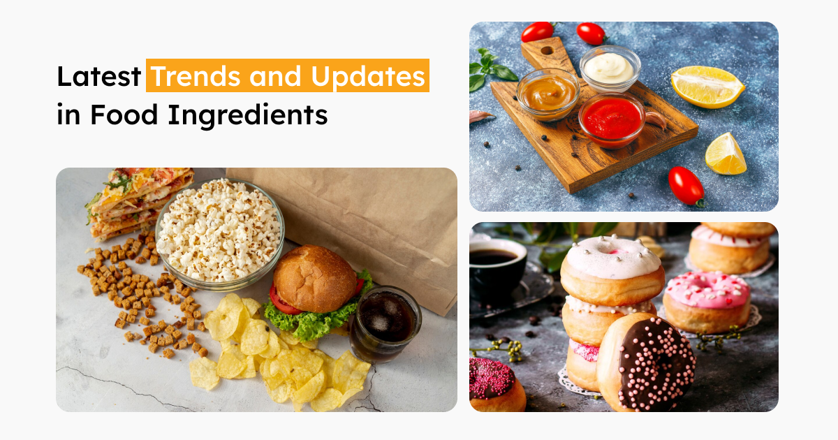 NovaSol Ingredients Blog | Food Industry Insights and Trends